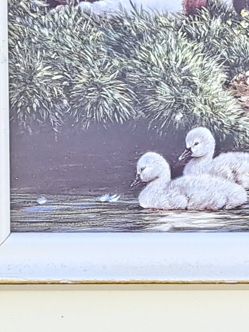 Framed Nature Print Of Ducks - Picture 7 of 11